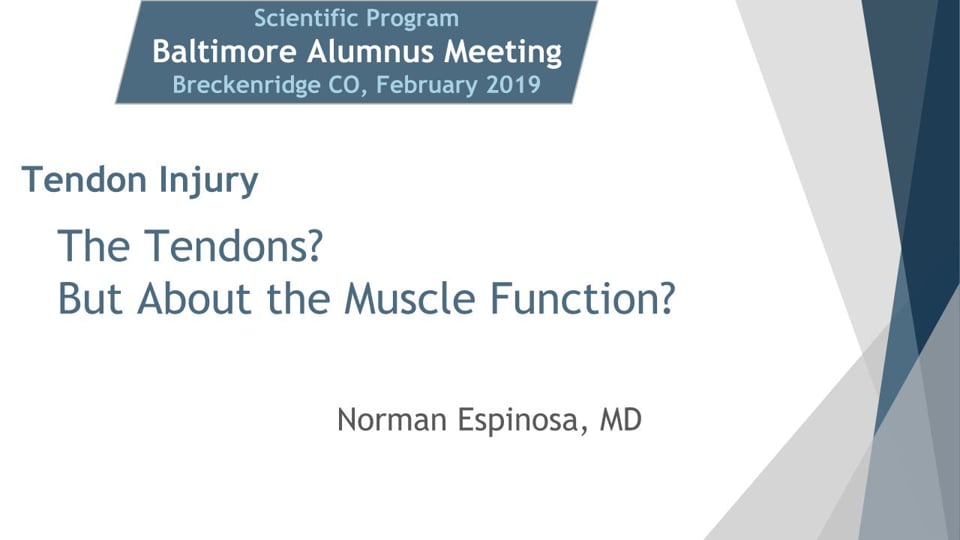 Baltimore Fellows Course 2019: The Tendons? But What About the Muscle Function?